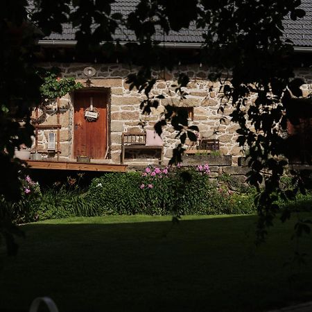 Apartament Aigen 13 Zewnętrze zdjęcie